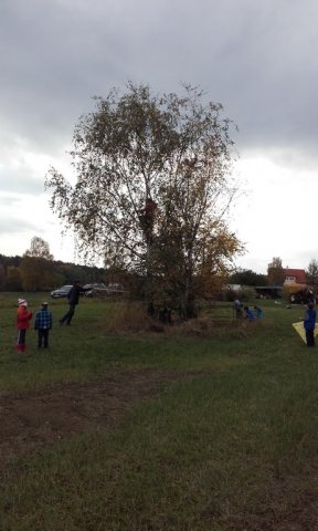 20161022_154528